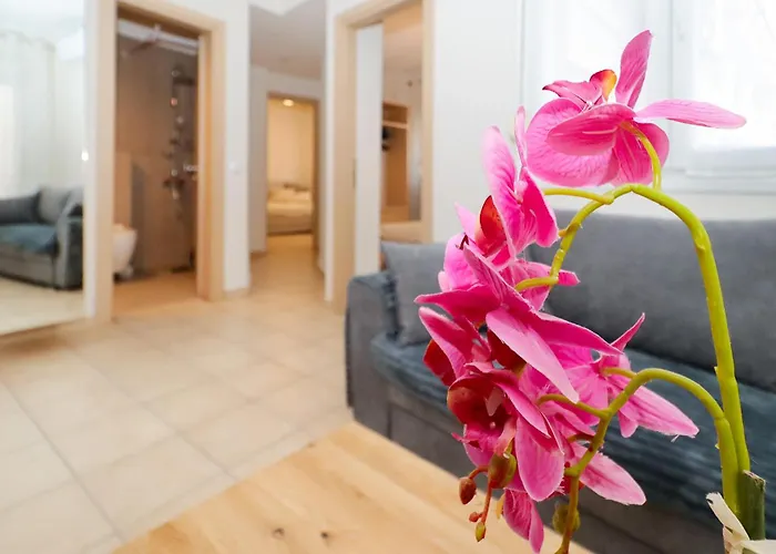 Apartament Meraki *